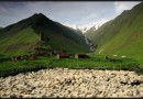 RAPID ASSESSMENT OF SHEEP SECTOR IN GEORGIA