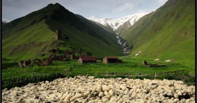 RAPID ASSESSMENT OF SHEEP SECTOR IN GEORGIA RAPID ASSESSMENT OF SHEEP SECTOR IN GEORGIA