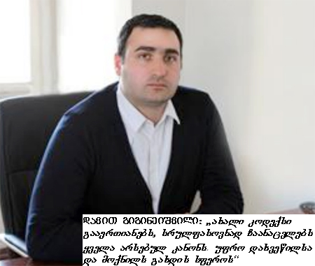 mshenebloba, davit gigineiwshvili