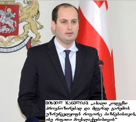 mshenebloba, mixeil janelidze